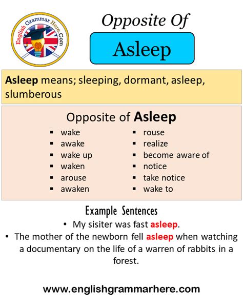 antonyms for asleep